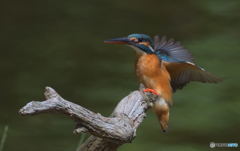 タッチダウン！