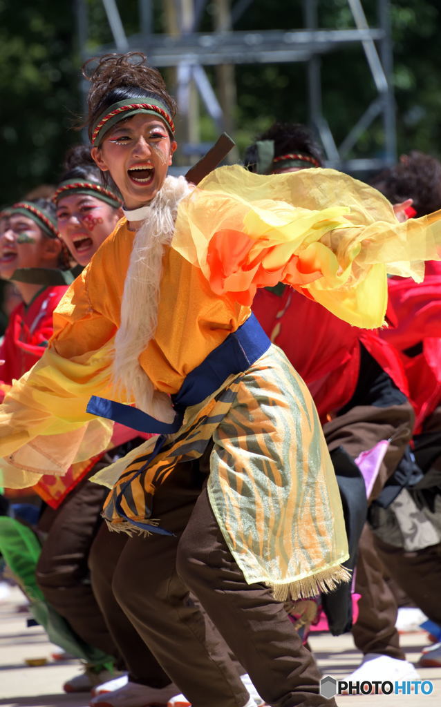 「第20回にっぽんど真ん中祭り」より㊶