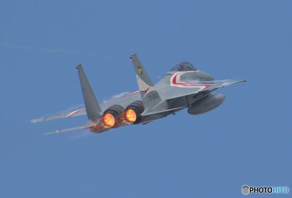 日伊共同訓練特別塗装機④