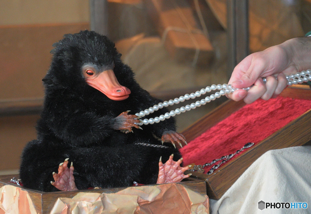 キラキラ大好き(>_<)