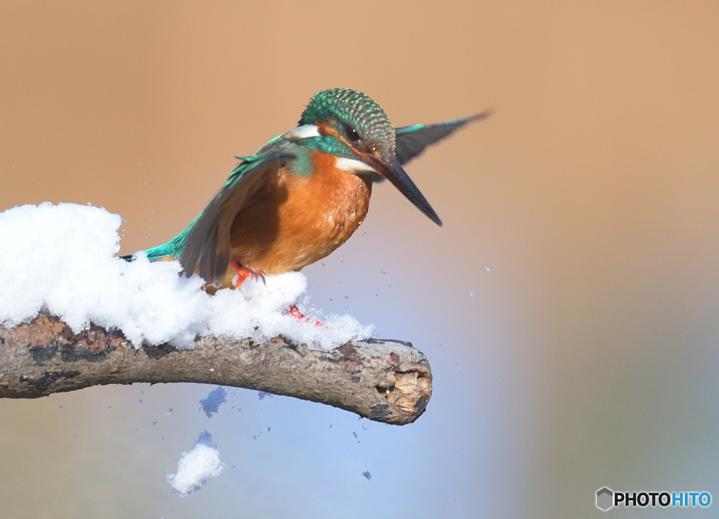 さあ、行くよ！