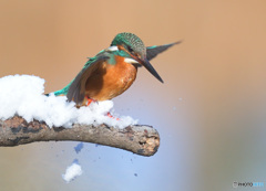 さあ、行くよ！