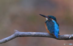 気になる空模様