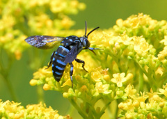 ブルービー2023⑤