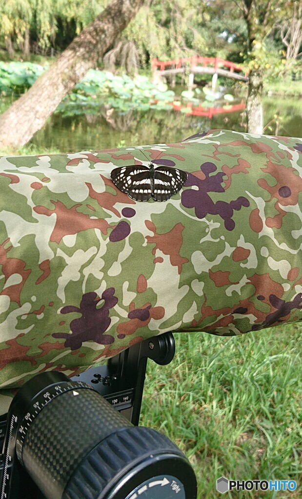 私のレンズにお客さま