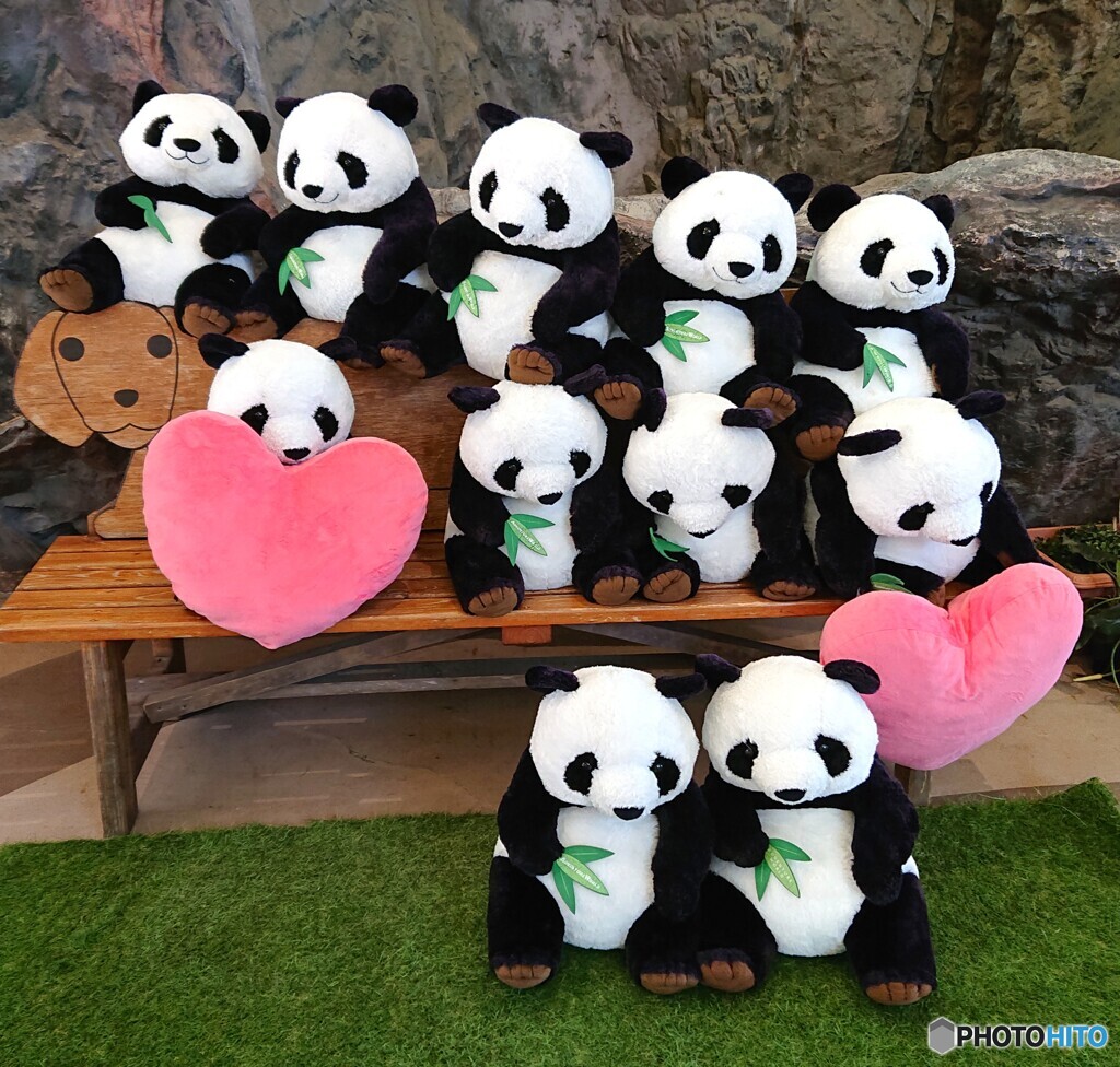 フォトスポット