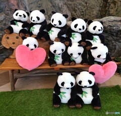 フォトスポット