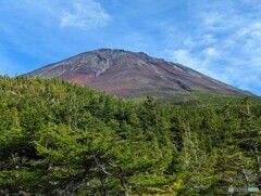 奥庭荘前より富士山頂を望む
