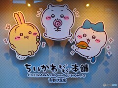 また来ちゃった