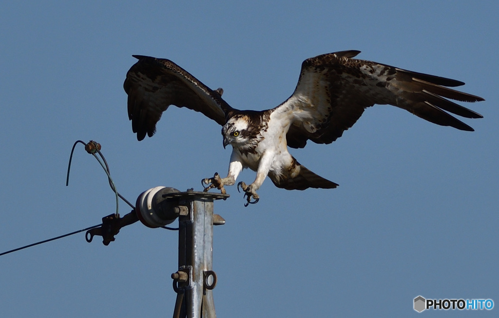 タッチダウン！