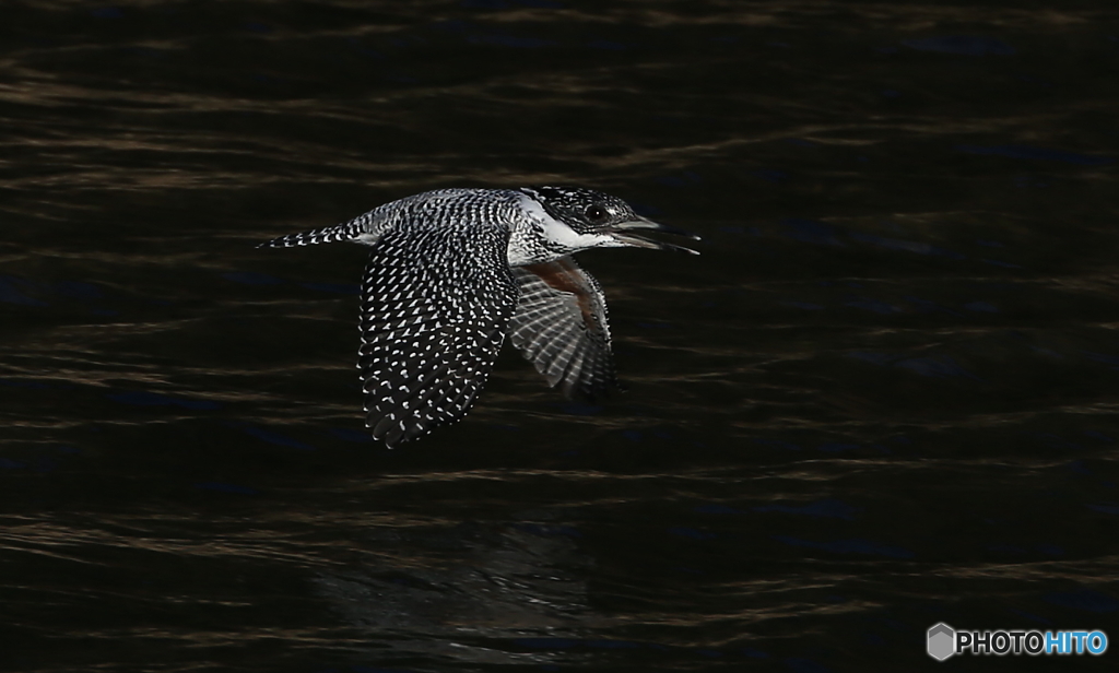 カメラ目線でローパス