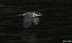 カメラ目線でローパス