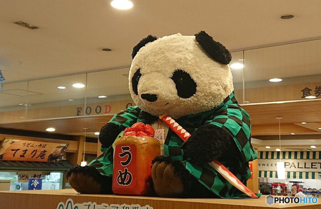 鬼滅のパンダ