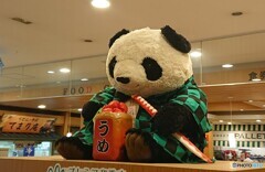 鬼滅のパンダ