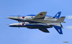 カリプソ
