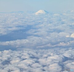雲の上の富士