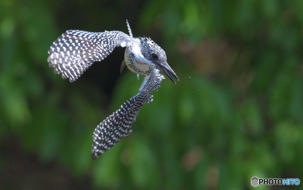 アッチだったか！