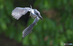 アッチだったか！