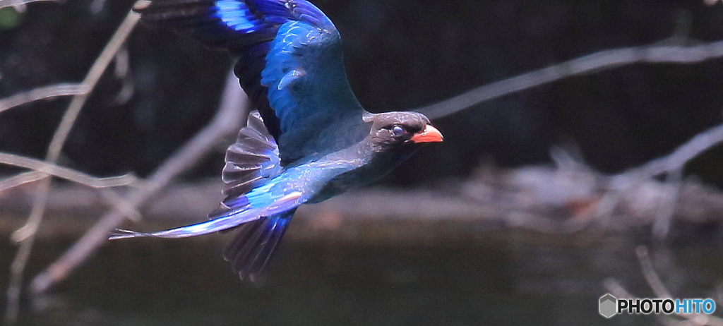 シネマ風のトリミングで