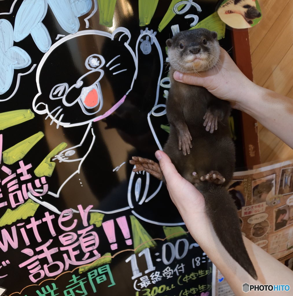 似顔絵とボク