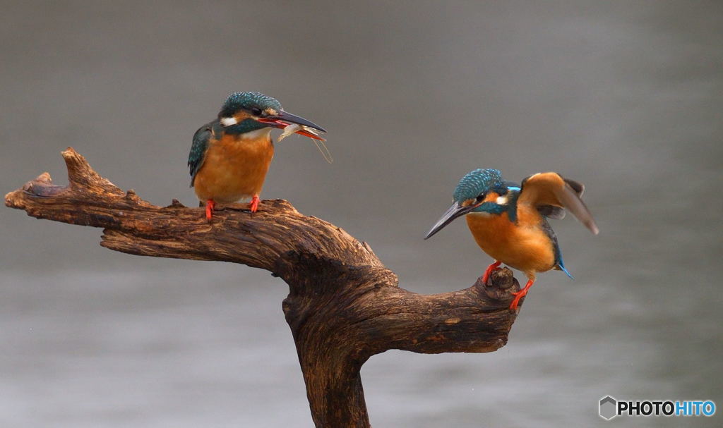 友達以上恋人未満⑯