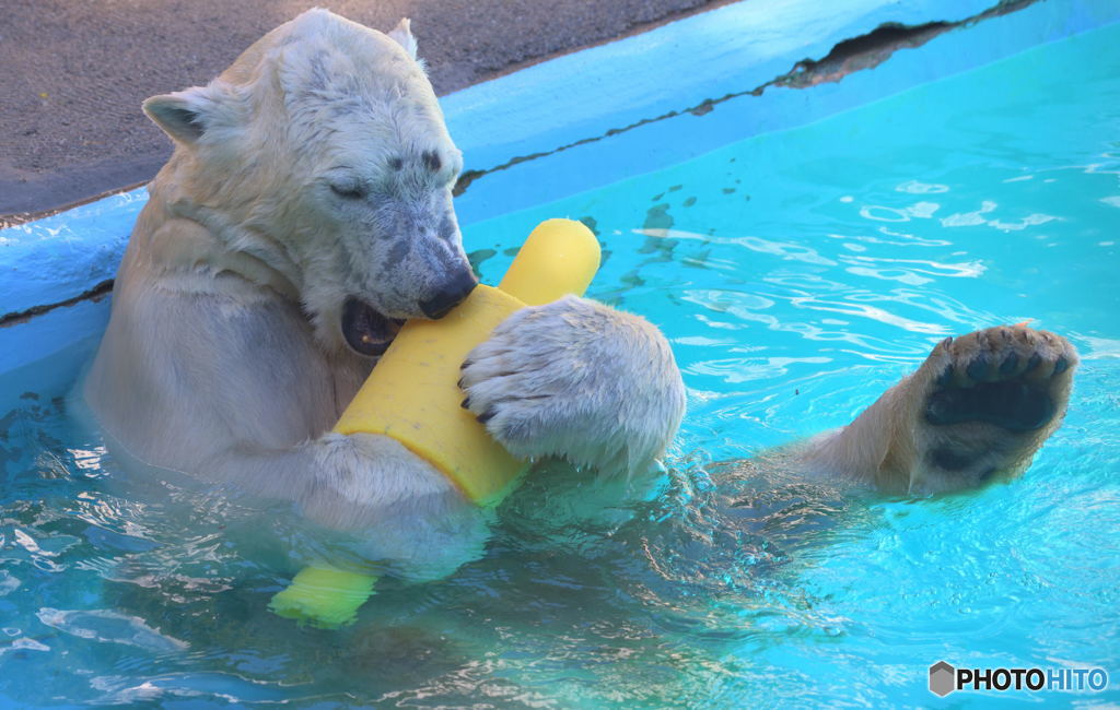 お気に入りのオモチャ