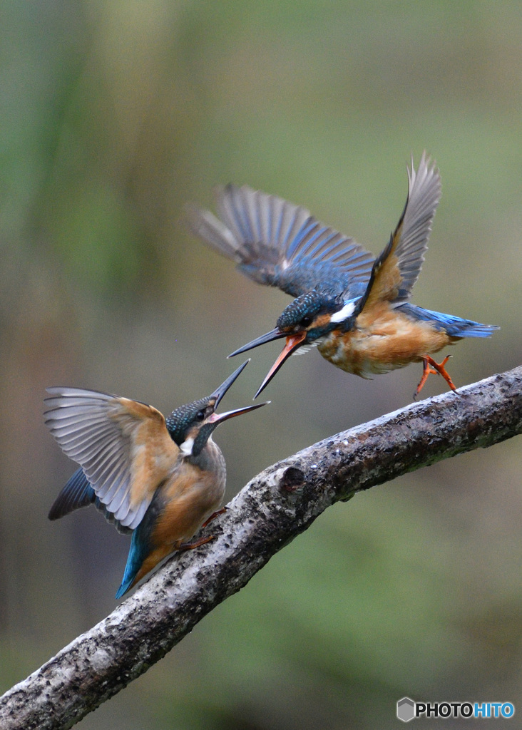 例え親子と言えども