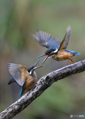 例え親子と言えども
