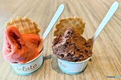 本日のジェラート