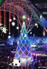 博多駅のツリー