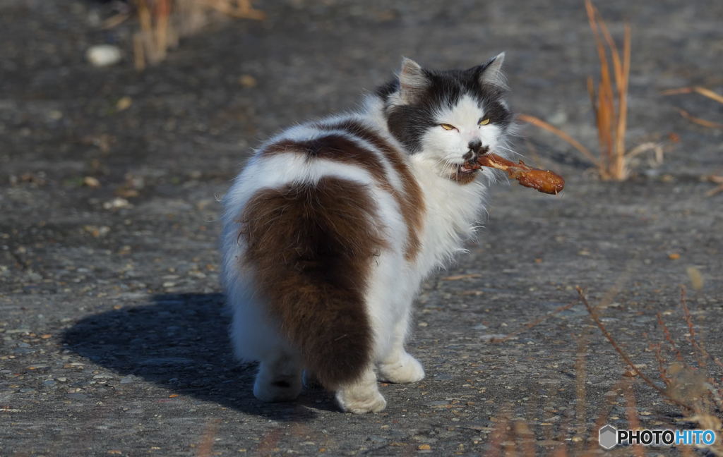 ゴッドファーザー？(^_^;)