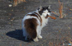 ゴッドファーザー？(^_^;)