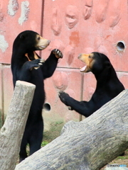 そこで立ってなさい！