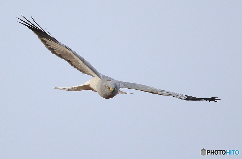 うわっ   コッチ来た！