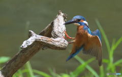 カメラ目線でタッチダウン！