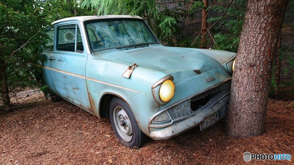 本日の事故現場