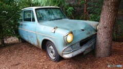 本日の事故現場