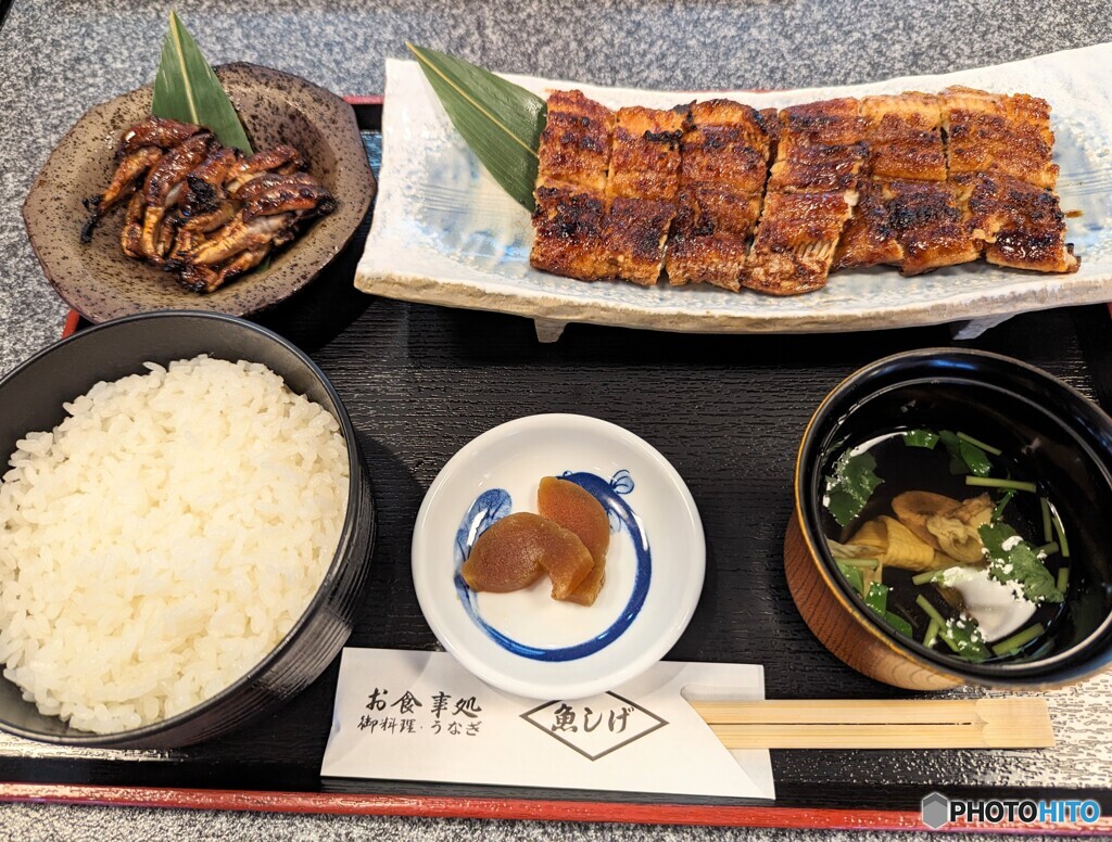 本日の夕食