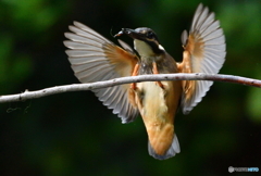 タッチダウン！