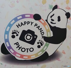 HAPPY  PANDA  PHOTO