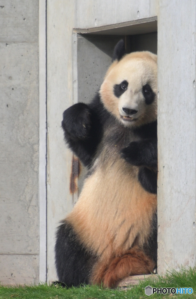 ただいま尾行中