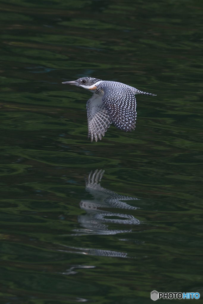 カメラ目線でローパス