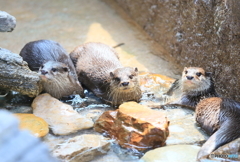 ３人揃って○フュームです！