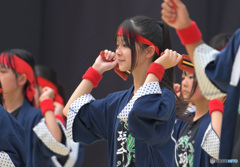 どまつり 97