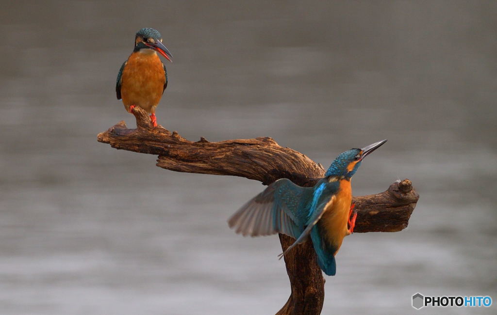 以前のと似てるけど別カット(^_^;)