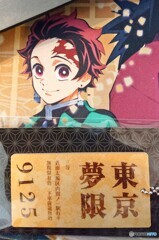 ついにヤバい切符を入手(^_^;)