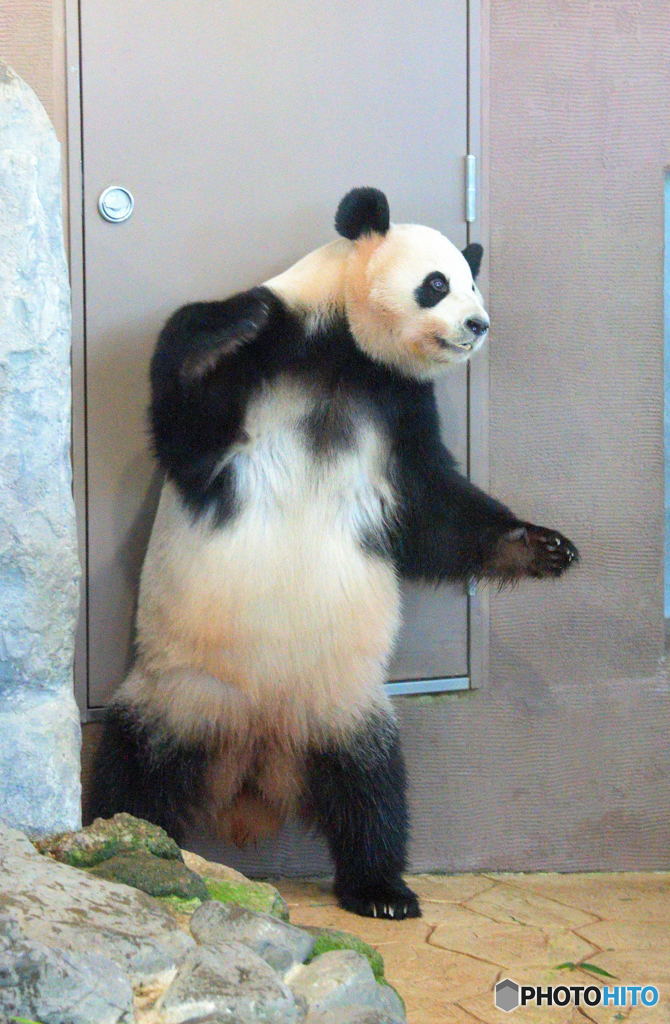 さあ、どこからでもかかって来なさい！