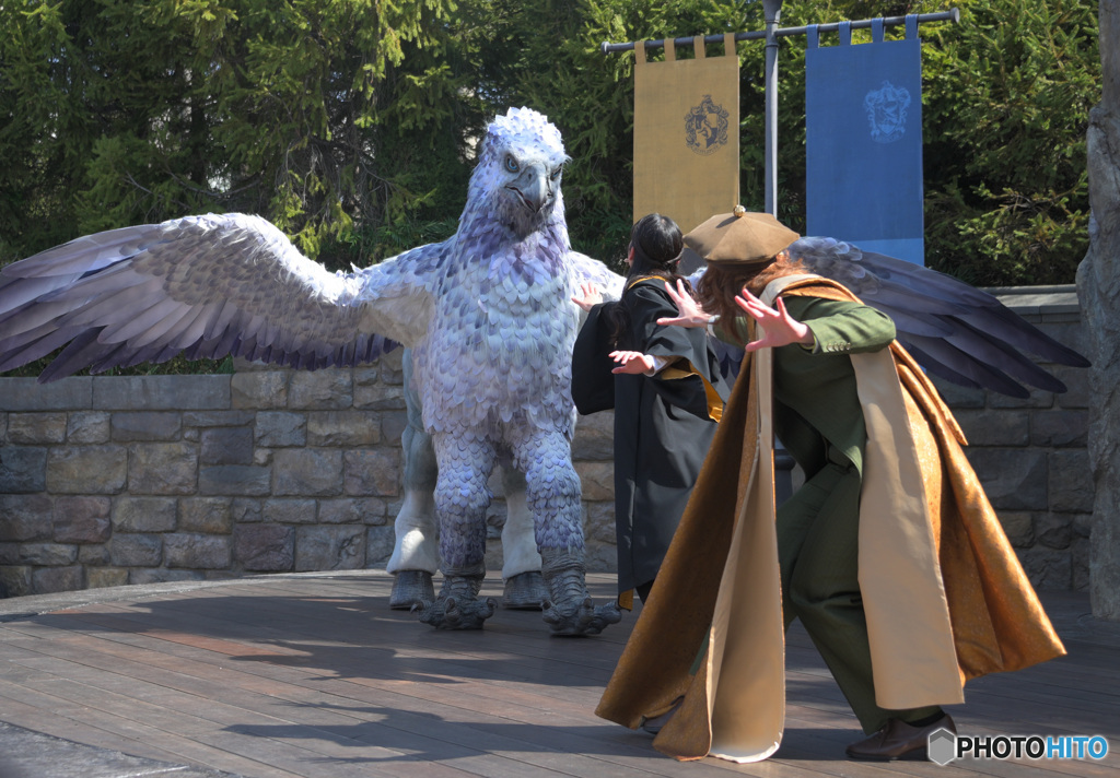 怒れるヒッポグリフ