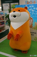 可愛い嘘のカワウソ