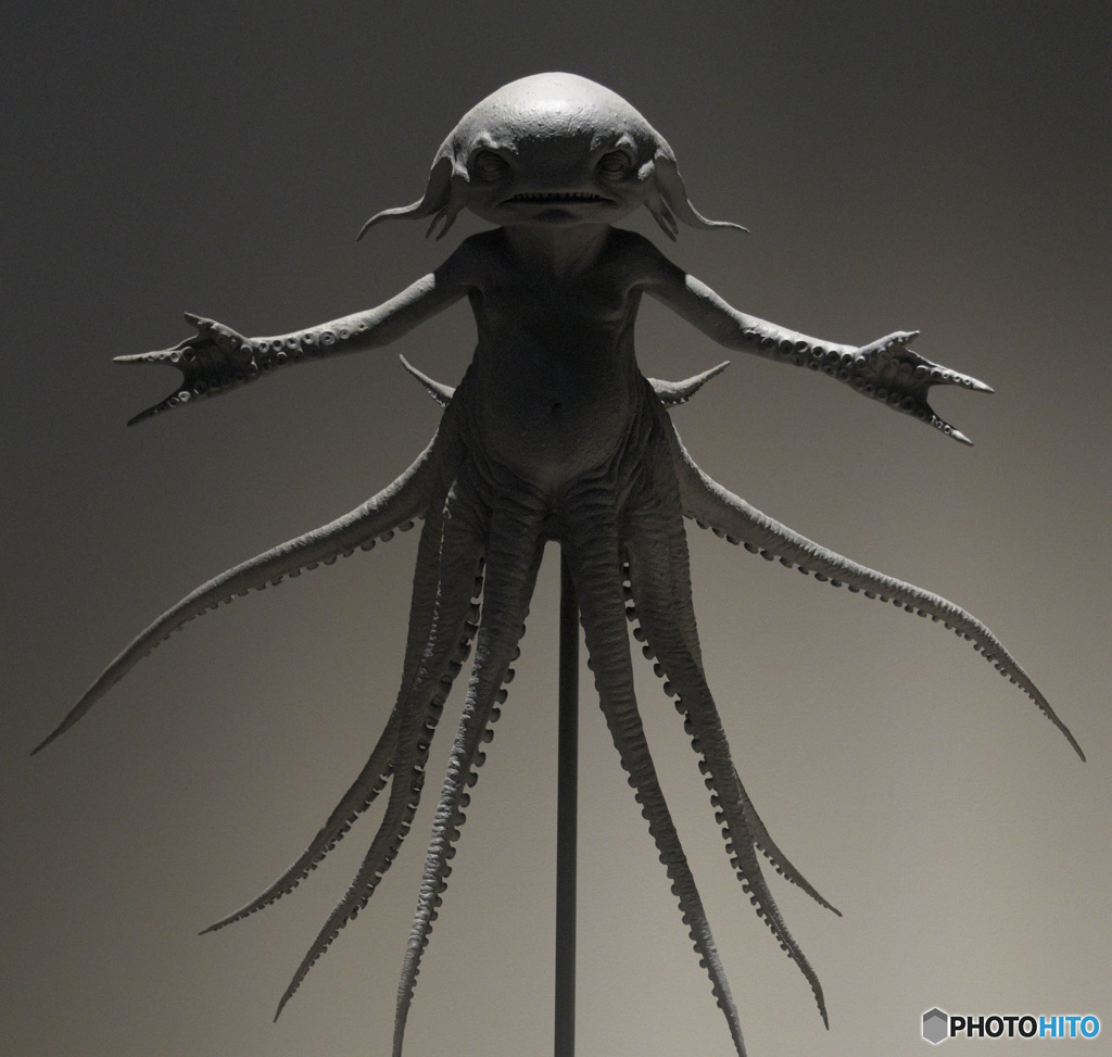 水棲生物